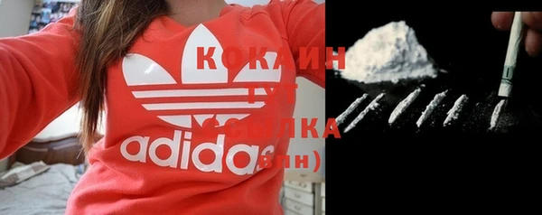 сатива Михайловск