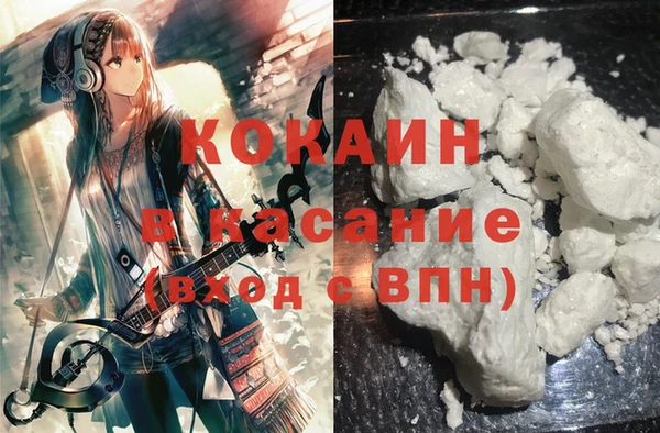 сатива Михайловск