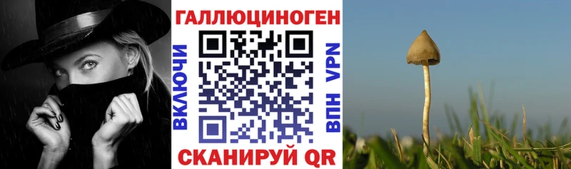 Псилоцибиновые грибы прущие грибы  хочу   Дудинка 